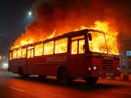 driver sets bus fire