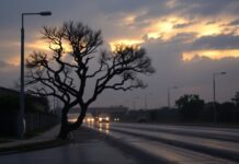 pune air quality rain forecasted